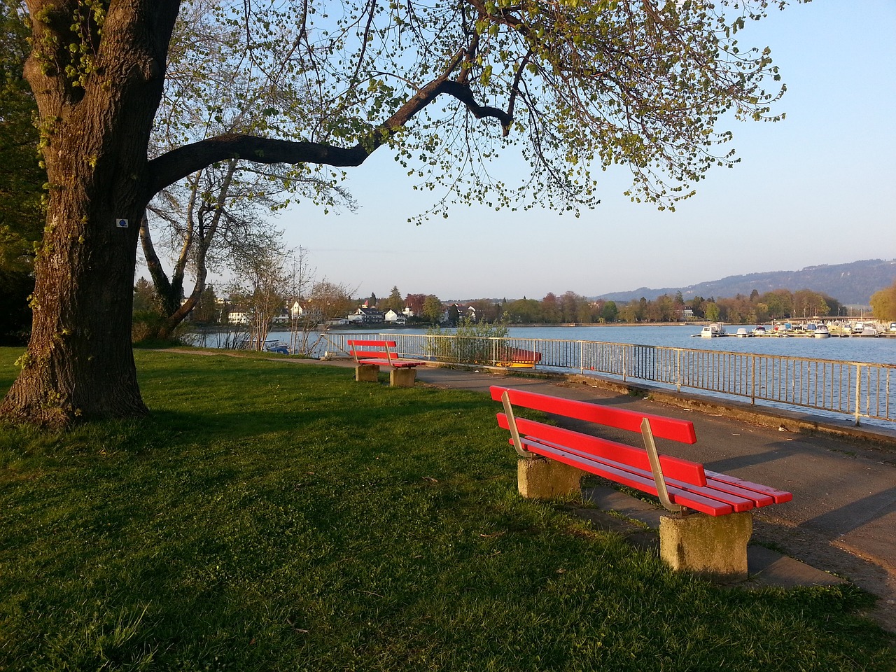 卫在本月表 卫在本月表