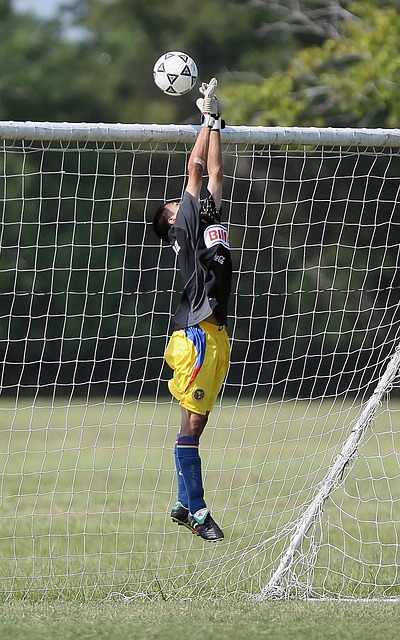 她以敏捷的 她以敏捷的