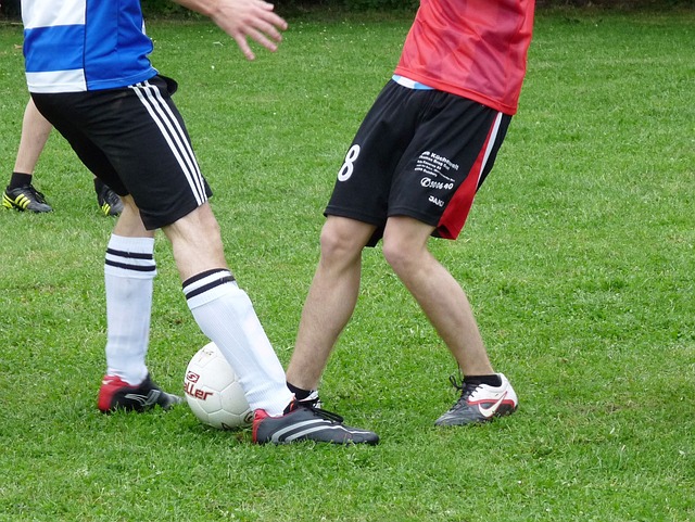 家庭生活和 家庭生活和